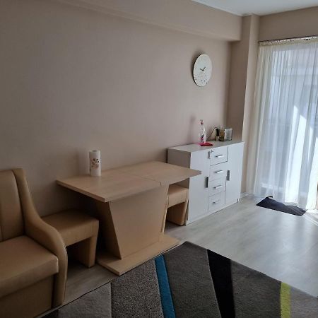 Ferienwohnung Apartament Mon Jardin - Iasi Exterior foto